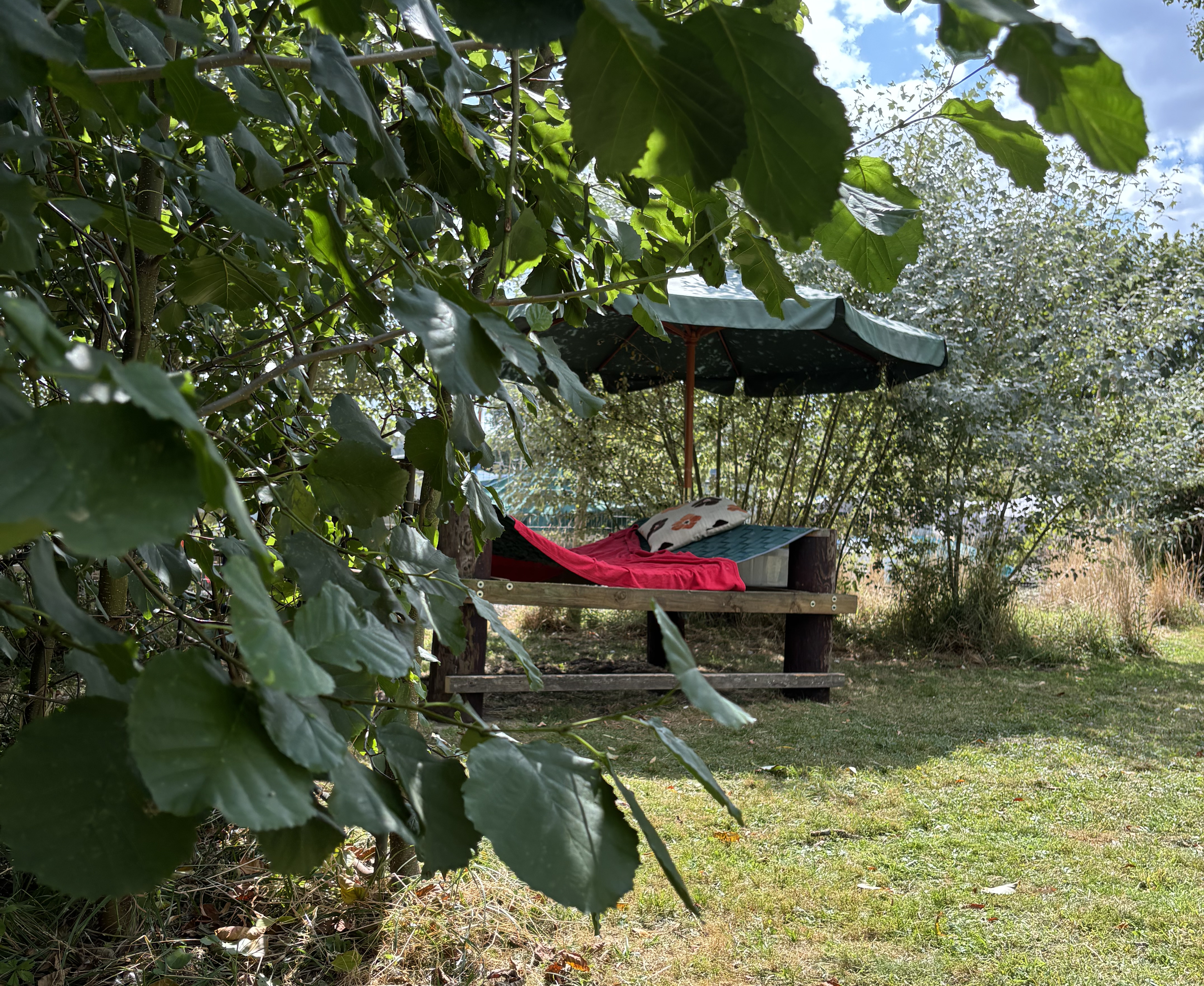 The hammock