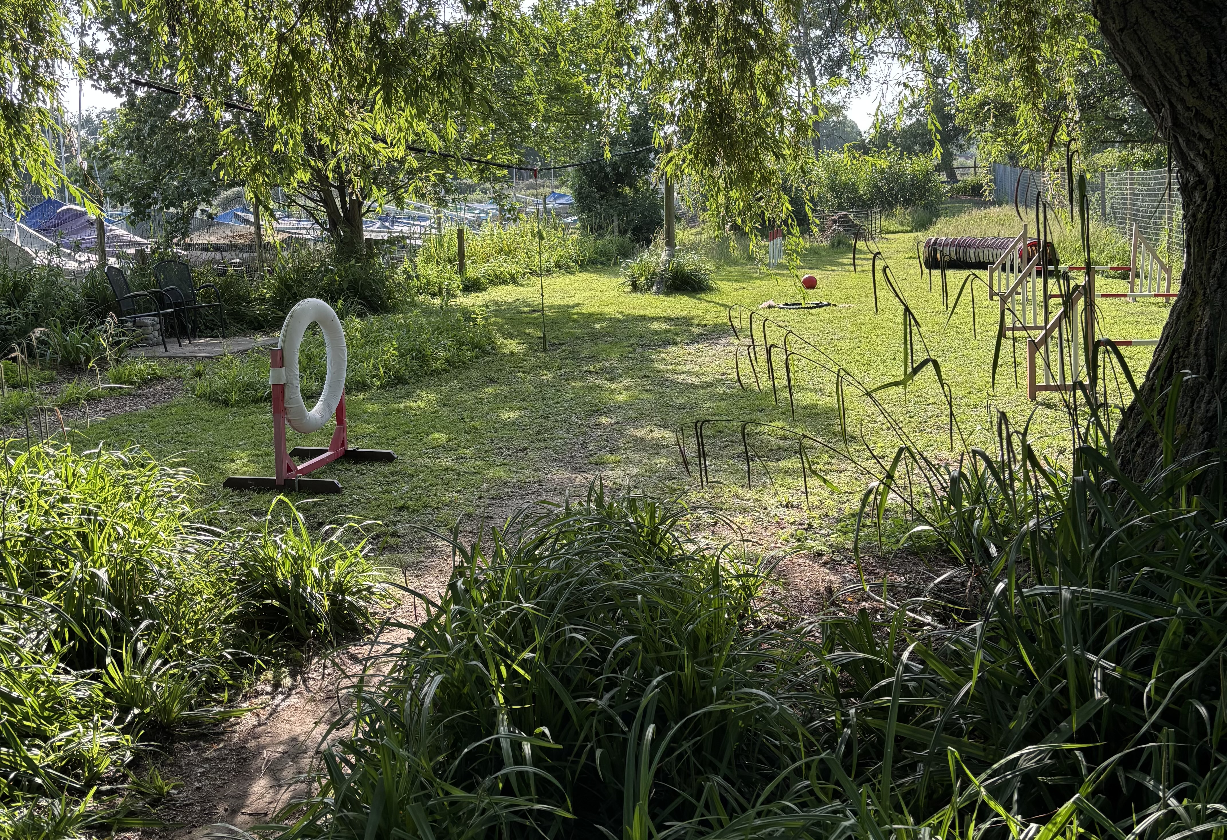 The Deben Dog Hub showing its natural planting and features