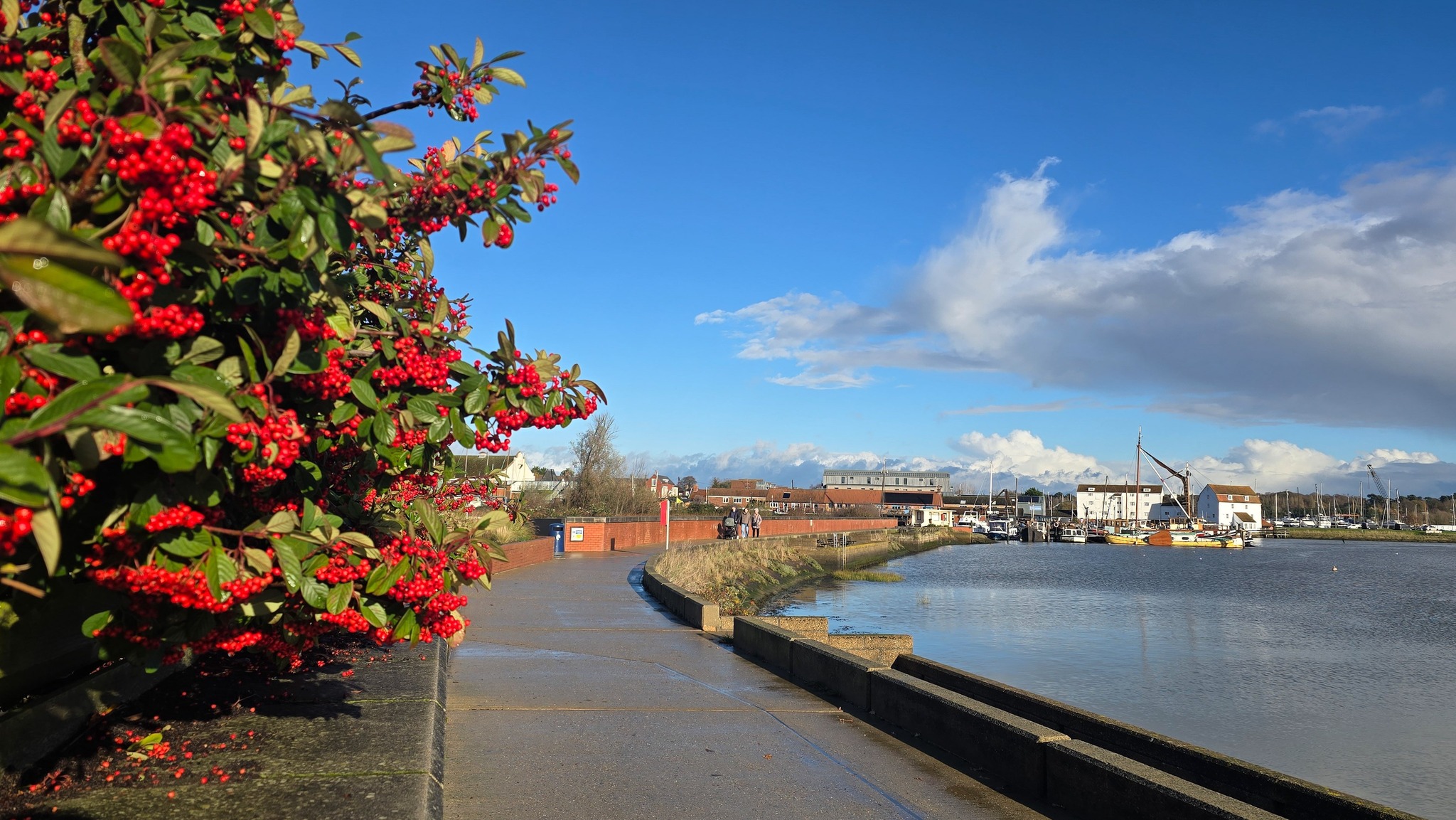 A dog and owner walking towards The Deben Dog Hub