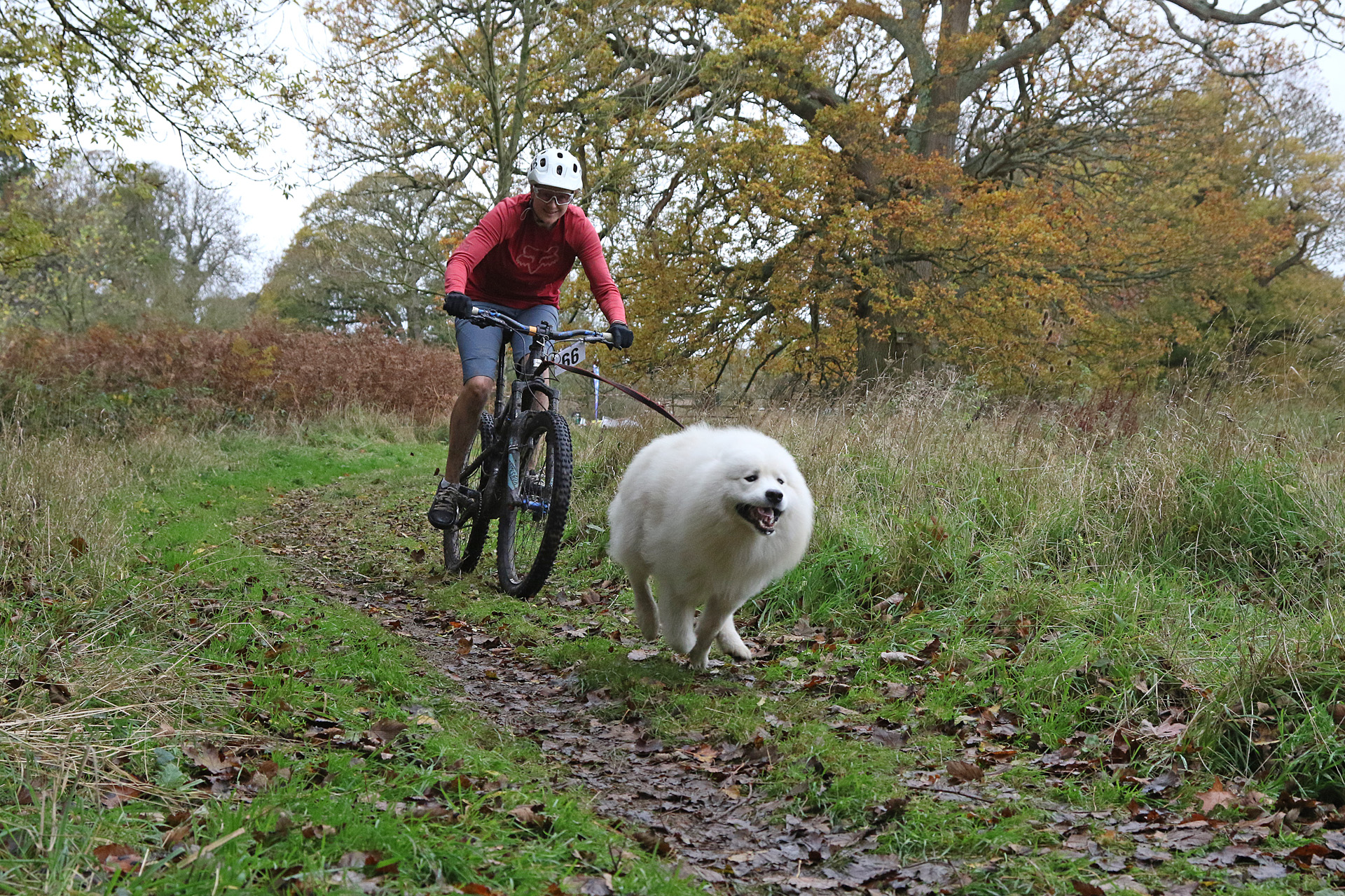 Tammie riding her bike with her dog on lead
